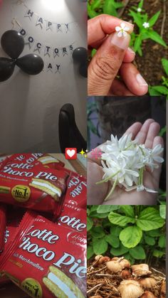 the collage shows different types of flowers and chocolates, including one white flower