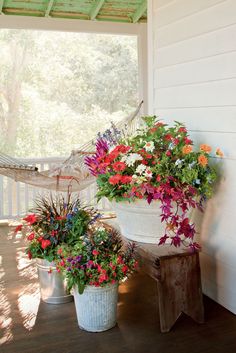 two potted plants sitting on a porch next to a hammock