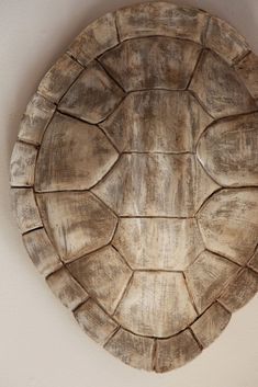 a wooden turtle shell hanging on the wall