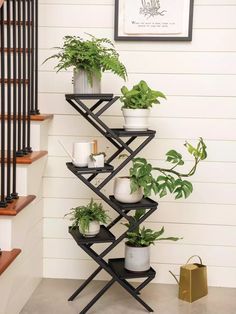 there is a plant stand with many plants on it in front of a wall and stairs