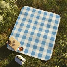 a picnic blanket and food on the ground