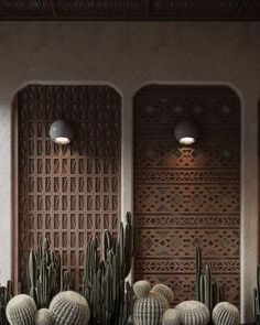 some cactus plants are in front of a wall with wooden panels and lights on it