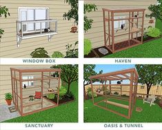 the four stages of building a chicken coop