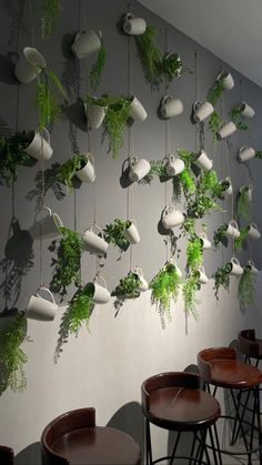 the plants are hanging on the wall in the restaurant