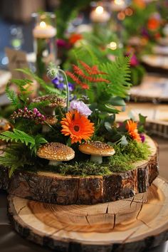 an arrangement of plants and mushrooms on a wooden slice with candles in the back ground