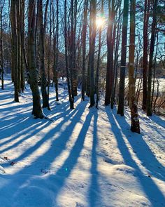 the sun is shining through the trees in the snow covered forest with long shadows on the ground