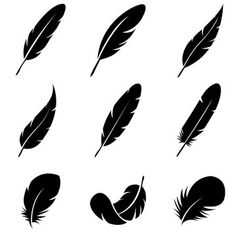 black and white feathers silhouettes on a white background stock photo edit now for more