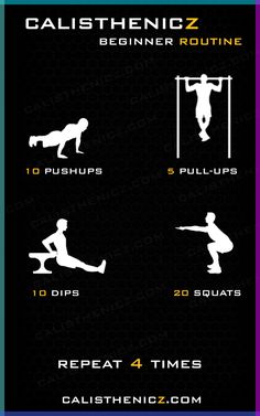 the calisthenic zone poster shows how to do squats and pull ups