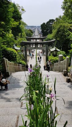 Houses In Japan, Asian House, Japan Street, Japanese Interior Design, Japanese Interior, Japan Photo, Summer Evening