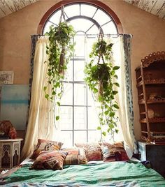 a bed sitting under a large window next to a wooden shelf filled with potted plants