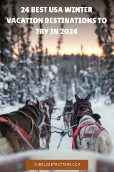 two dogs pulling a sleigh with the words, best usa winter vacation destinations to try