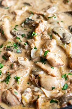 chicken and mushroom stew with parsley in a skillet ready to be eaten or served