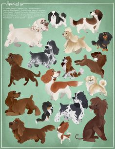 8.5"x11" spaniel dogs art print. printed on fine art paper Brown Dog Illustration, Dog Portrait Illustration, Whippet Illustration, Pets Illustration, Dog Illustration Art, Dog Portraits Illustration, Dog Portraits Art, Comfort Art, Illustration Dog