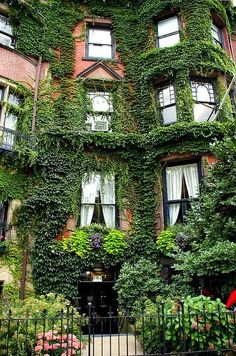 an old building with ivy growing on it's side and windows in the front