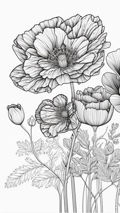 black and white drawing of flowers on a white background