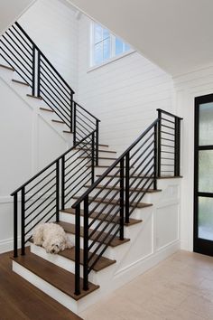 a white dog laying down on the stairs next to a black railing and glass door