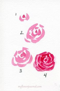 three pink roses are shown on a white background, with numbers in the bottom right corner