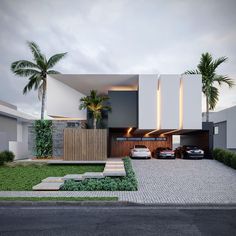 a modern house with two cars parked in the driveway and palm trees on either side