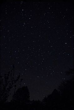 the night sky is filled with stars and trees