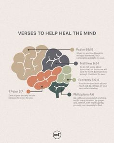 the brain and its functions are shown in this diagram, which shows how many different areas of