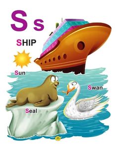 the letter s is for ship and sea animal