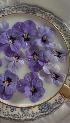 purple pansies floating in a bowl of water