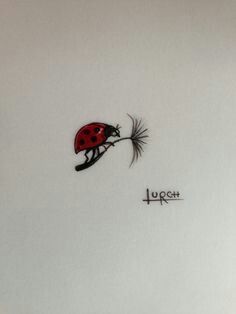 a drawing of a ladybug flying through the air