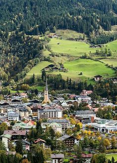 an aerial view of a small town surrounded by trees and hills in the distance,