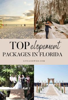 Top elopement packages in Florida Florida Keys Elopement, Miami Elopement, Florida Wedding Venues Beach, Beach Wedding Florida, Free Wedding Venues, Small Beach Weddings, Gorgeous Landscapes, Art For Walls, Florida Keys Wedding