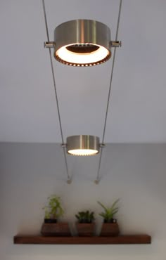 two lights hanging from the ceiling in a room with potted plants on shelves below