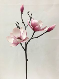 a pink flower is in a vase on a white tablecloth with a gray background