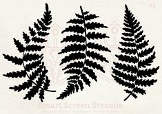 the silhouettes of three ferns are shown in black on a white background with text that reads, smart screen stencils