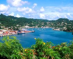 a harbor filled with lots of blue water surrounded by lush green trees and hills in the background