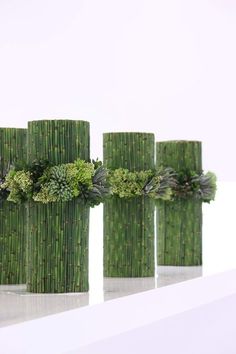 three vases with green plants in them on a shelf next to each other and white background