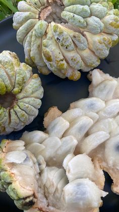 Sugar apple
Tropical fruit
Fruit
Fruits
Sugar apples
Tropical Food Captions, Haitian Food Recipes, Food Drink Photography, Food Therapy, Beautiful Fruits, Snap Food, African Food, Food Videos Cooking