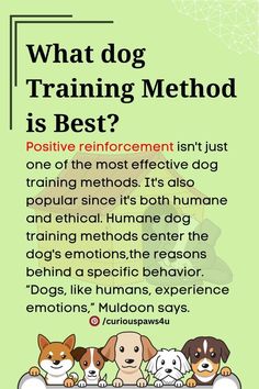 What dog Training Method is Best? Positive Reinforcement Dog Training, Dog Emotions, 1000 Life Hacks, Dog Brain, What Dogs, Brain Training, Positive Reinforcement, Dog Training, Life Hacks