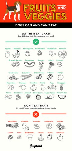 an info sheet with the words fruits and veggies on it