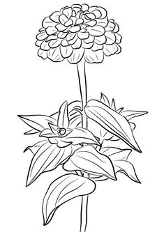 a flower with leaves on it coloring page