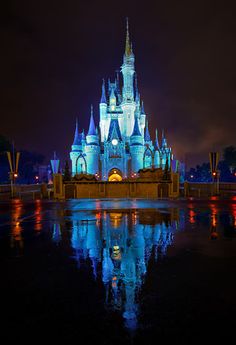 the castle is lit up at night and reflecting in the water