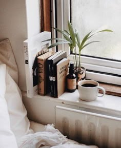 a window sill filled with books and a potted plant on top of it