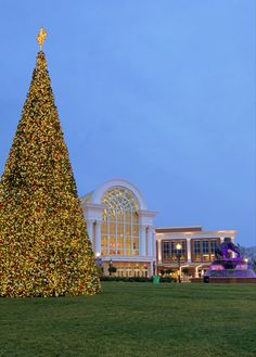 a large christmas tree in front of a building with lights on it's side