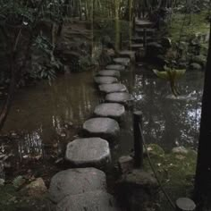 stepping stone path in the middle of a forest