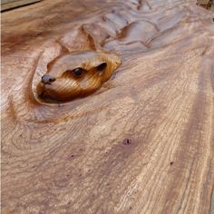 a wooden table that has some kind of animal in it's hole on top