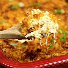 a spoon full of food that is being lifted from a casserole dish with green onions