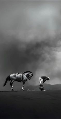 two horses standing on top of a field under a cloudy sky