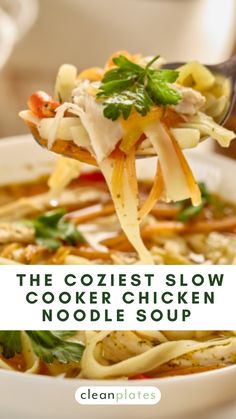 the coziest slow cooker chicken noodle soup is made with noodles and vegetables