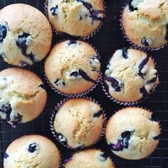 blueberry muffins cooling on a wire rack