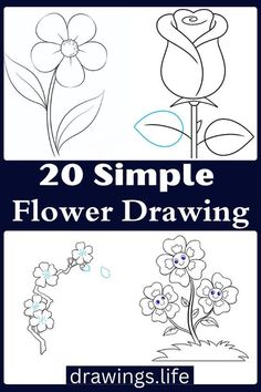 flower drawings with the title 20 simple flower drawing