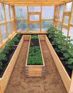 a greenhouse with several plants growing in the ground and some dirt on the ground next to it