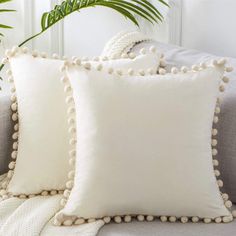 two white pillows sitting on top of a couch next to a potted palm tree